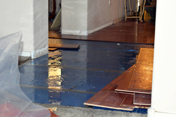 Professional Burst Pipe Cleanup technician working in Addison, TX